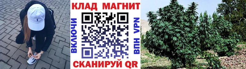 Где продают наркотики Славгород Alpha PVP  АМФ  Галлюциногенные грибы  МЕФ  Гашиш  Марихуана  Кокаин 