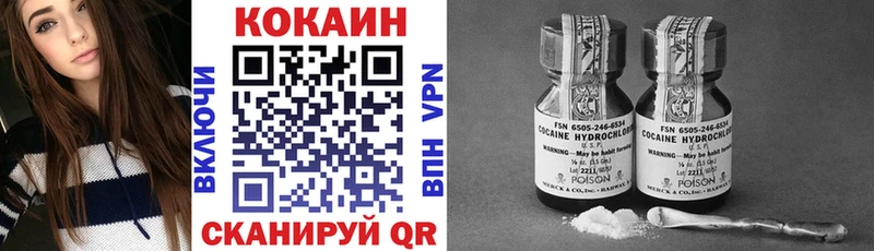 цены наркотик  Славгород  Cocaine Эквадор 