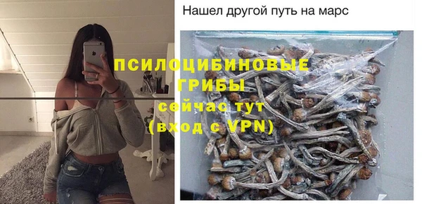 прущий лед Белоозёрский