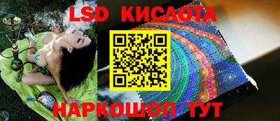 спайс Славгород