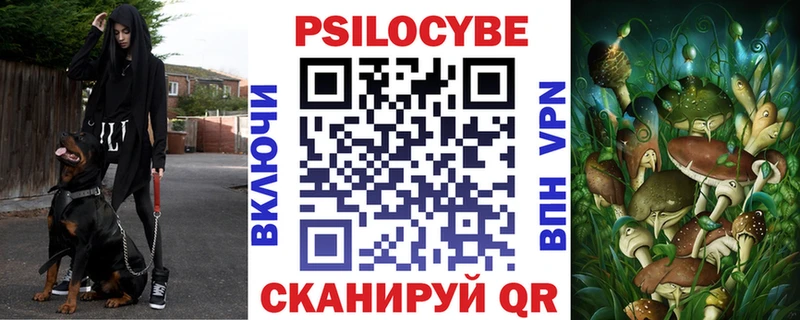 Псилоцибиновые грибы Cubensis  купить наркоту  Славгород 
