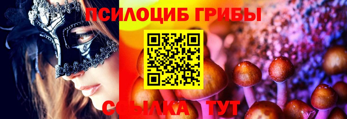 Псилоцибиновые грибы GOLDEN TEACHER  Вход с VPN  Славгород 